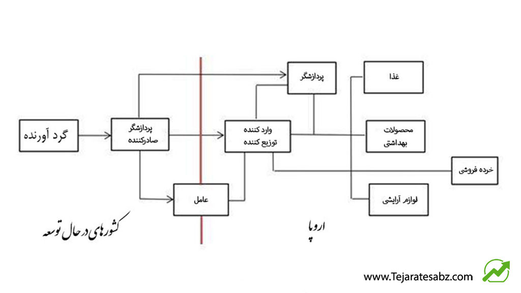 صادرات-آلوئه-ورا-به-اروپا