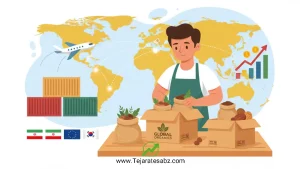 صادرات با سرمایه کم
